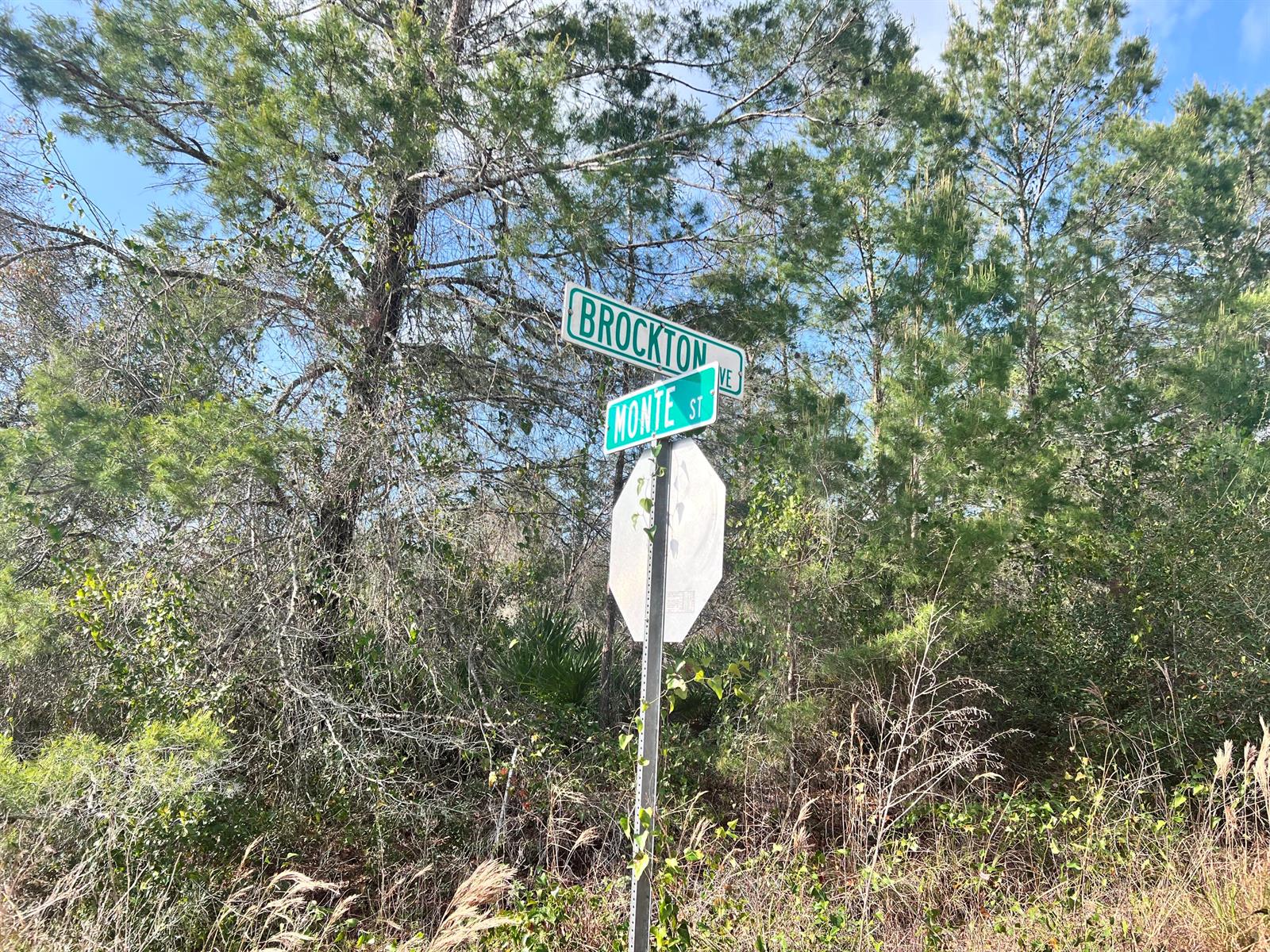 A street sign for Brockton Avenue and Monte Street stands in front of dense trees — 4847 Brockton Avenue, FL 33875, FL