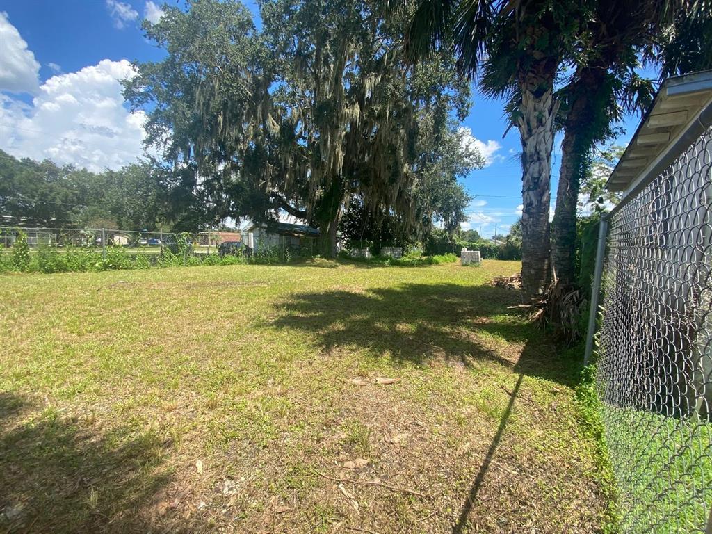 A grassy backyard features a large oak tree with Spanish moss and a chain-link fence — 1551 IMMOKALEE STREET, INTERCESSION CITY, FL