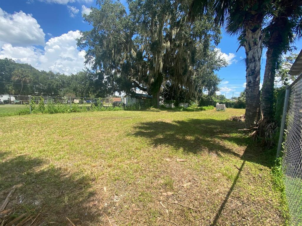 A grassy, vacant residential lot features a large oak tree and a chain-link fence — 1551 IMMOKALEE STREET, INTERCESSION CITY, FL