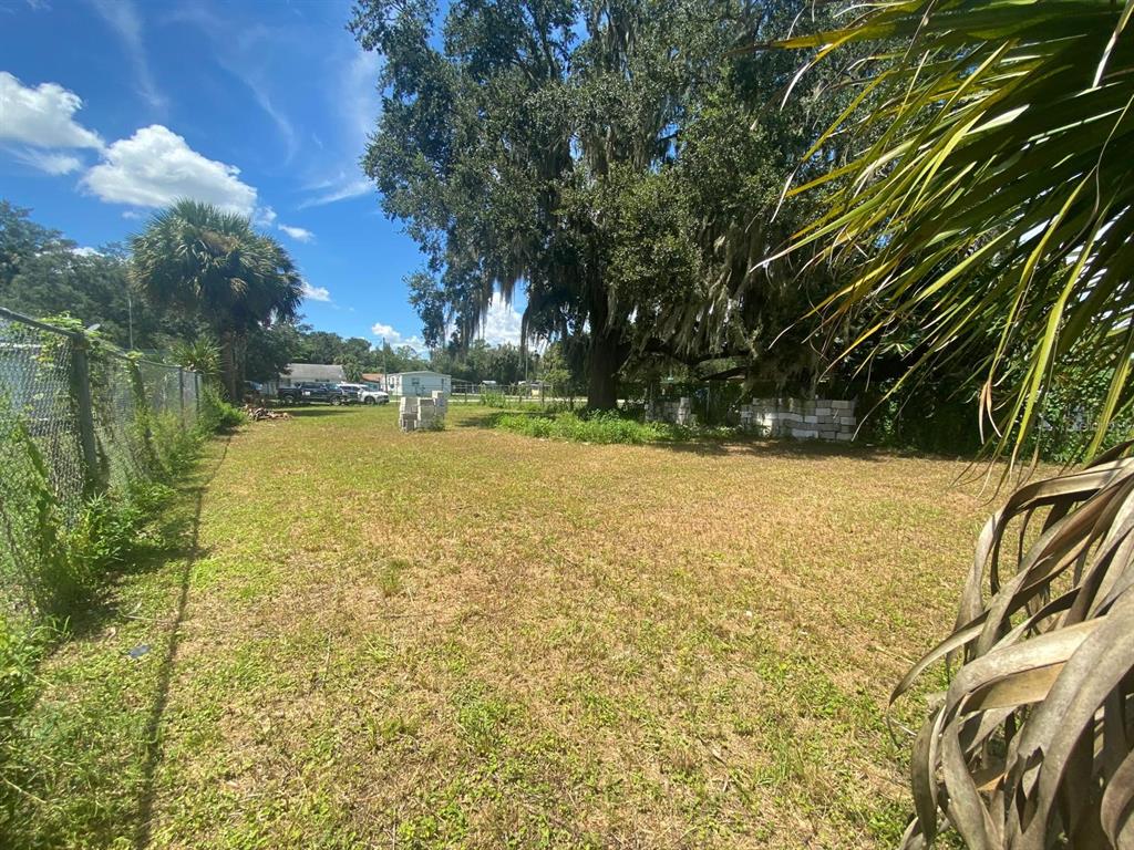A large, grassy vacant lot features a mature oak tree and a chain-link fence — 1551 IMMOKALEE STREET, INTERCESSION CITY, FL