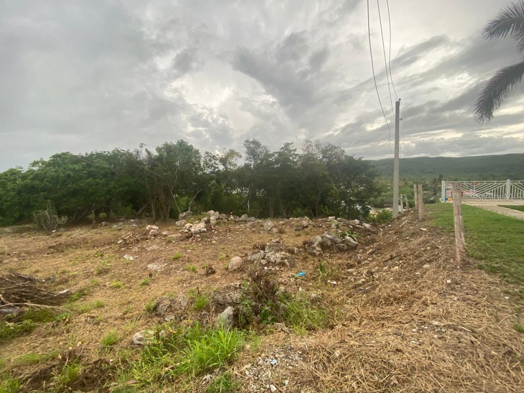 An undeveloped, rocky plot of land with scattered trees and a utility pole — SAN JACINTO, GUANICA, PR