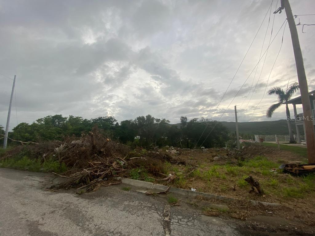A vacant, cleared lot with a pile of brush sits beside a paved road — SAN JACINTO, GUANICA, PR