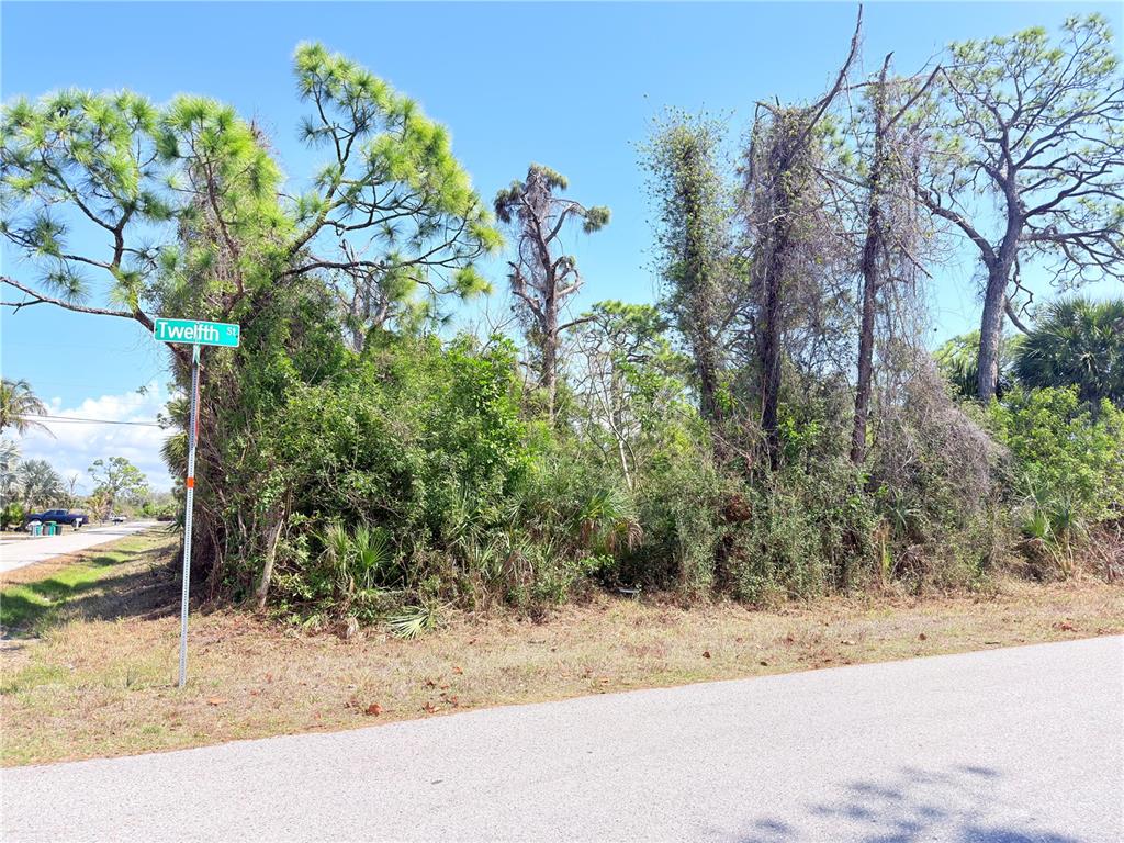 A street corner features a vacant, wooded lot with a street sign and pine trees — 2801 12TH STREET, ENGLEWOOD, FL