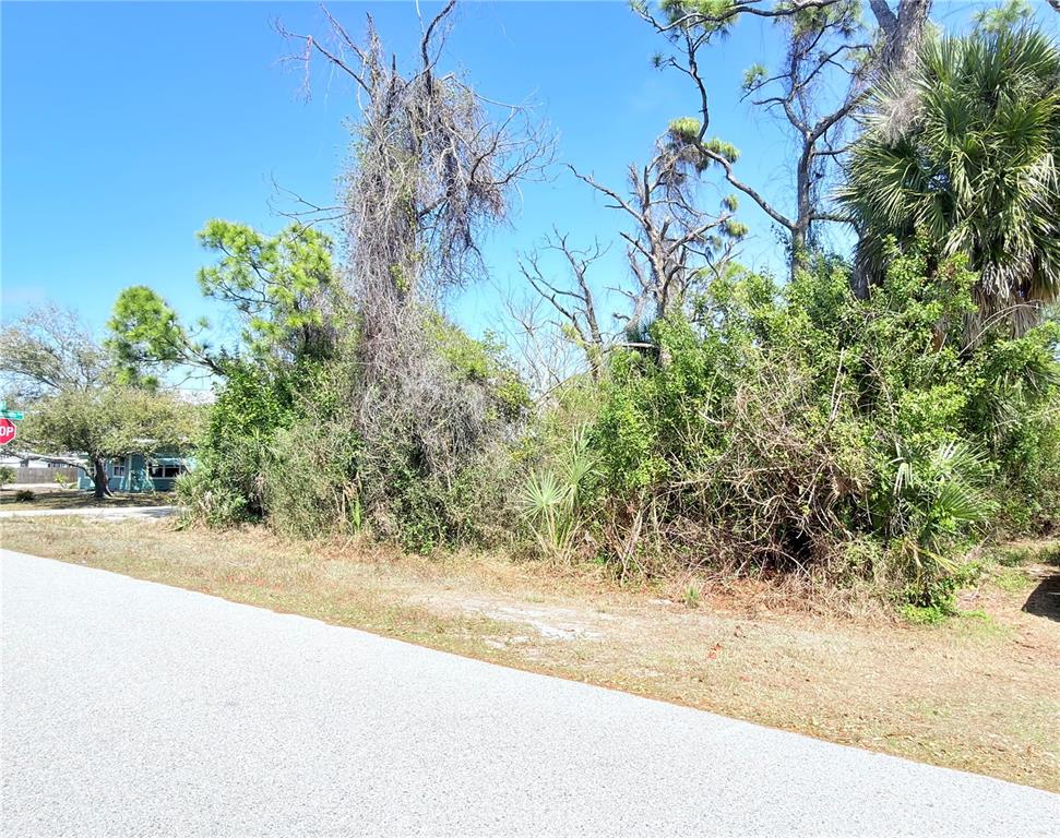 A vacant, overgrown lot with trees and shrubs sits beside a paved road — 2801 12TH STREET, ENGLEWOOD, FL