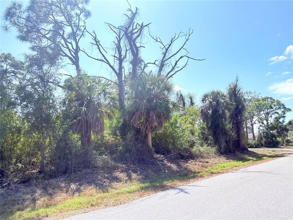 A paved road runs alongside a wooded lot featuring several palm trees and large pines — 2801 12TH STREET, ENGLEWOOD, FL