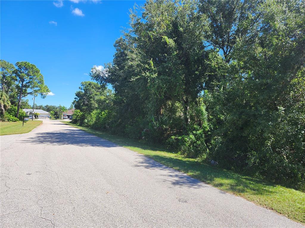 A paved road runs alongside a wooded lot under a bright blue sky — 17517 ELMWOOD AVENUE, PORT CHARLOTTE, FL