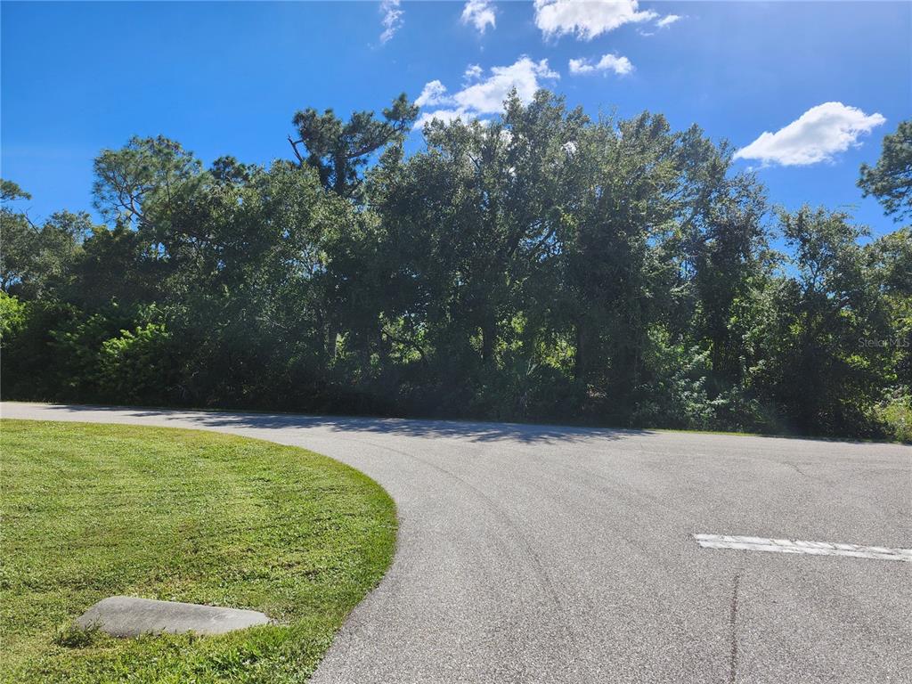 A paved road curves past a grassy area and a dense line of trees — 17517 ELMWOOD AVENUE, PORT CHARLOTTE, FL