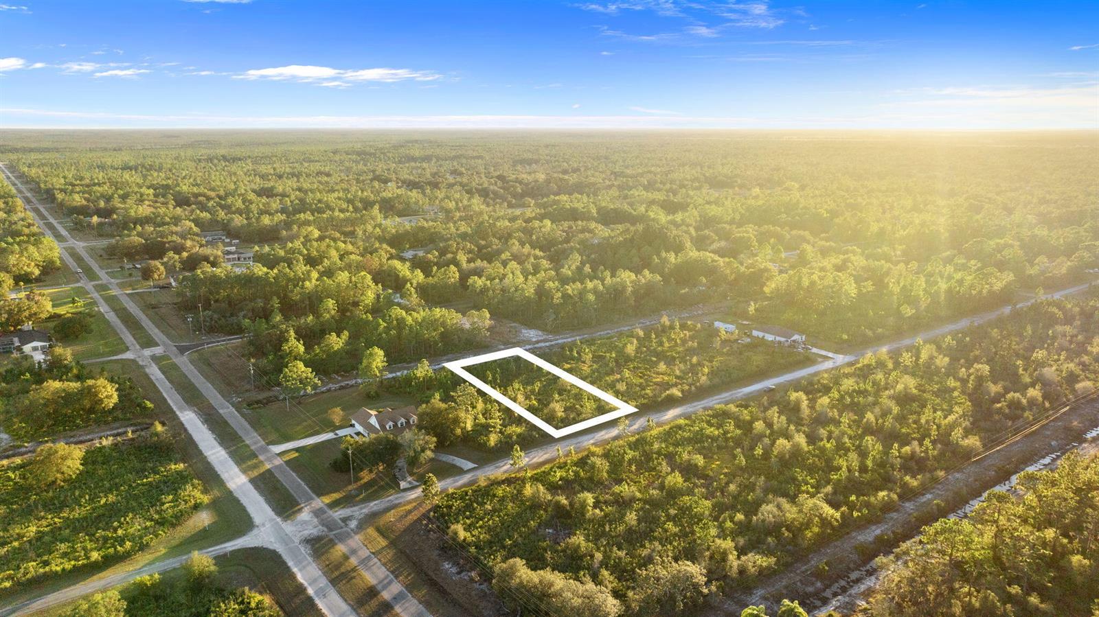 An aerial view shows a vacant, rectangular lot outlined in white within a wooded area — 0 Magnolia Drive, FL 33855, FL