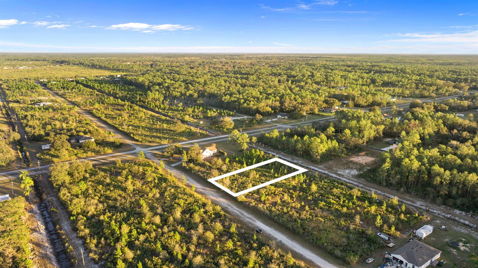 An aerial view shows a rectangular plot of land outlined in white amidst wooded terrain — 0 Magnolia Drive, FL 33855, FL