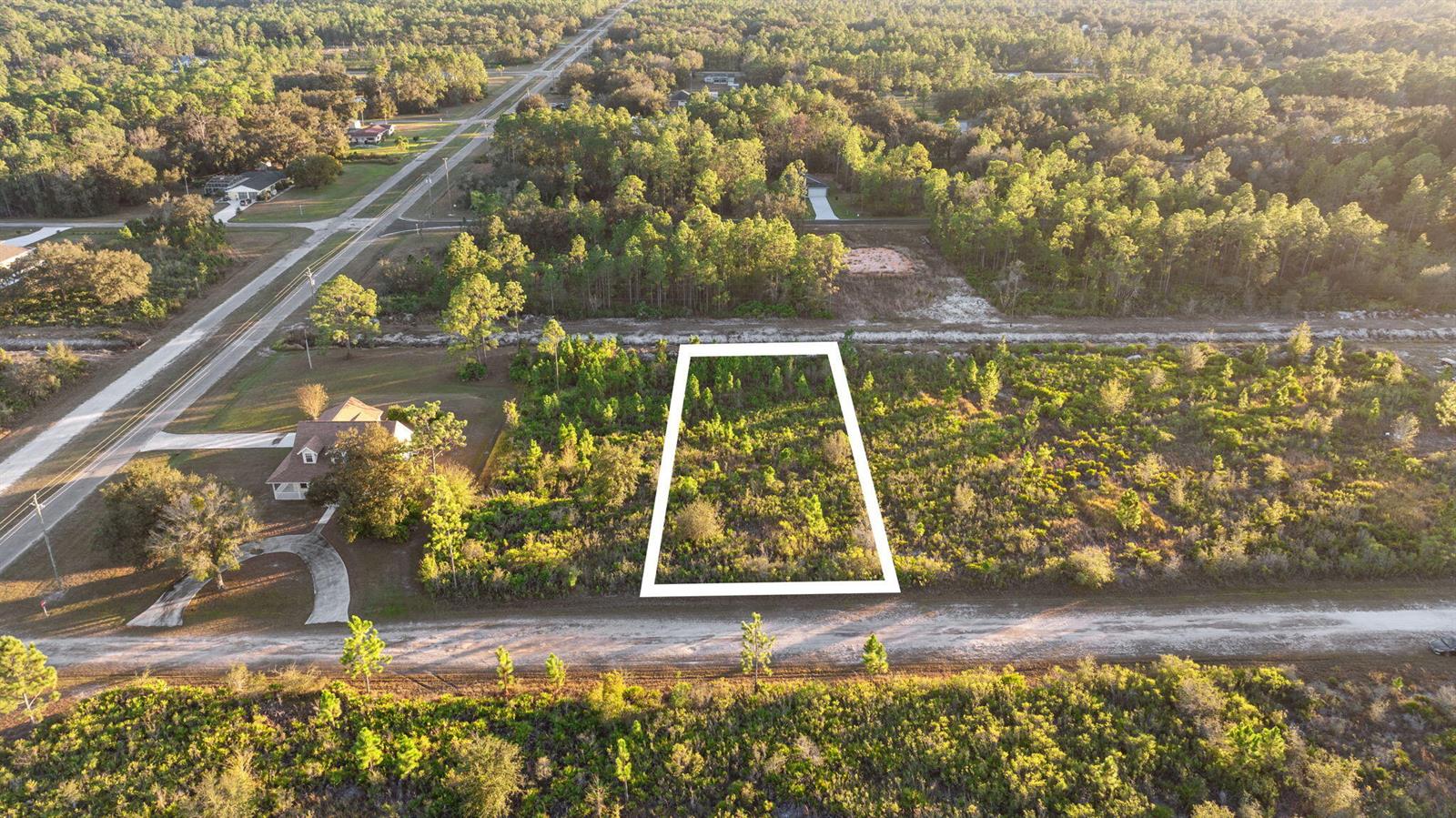 An aerial view shows a rectangular plot of land outlined in white amidst wooded terrain — 0 Magnolia Drive, FL 33855, FL