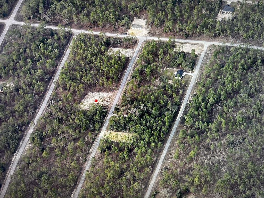 An aerial view shows a wooded residential lot with a red dot marker — NARCISSUS, DUNNELLON, FL