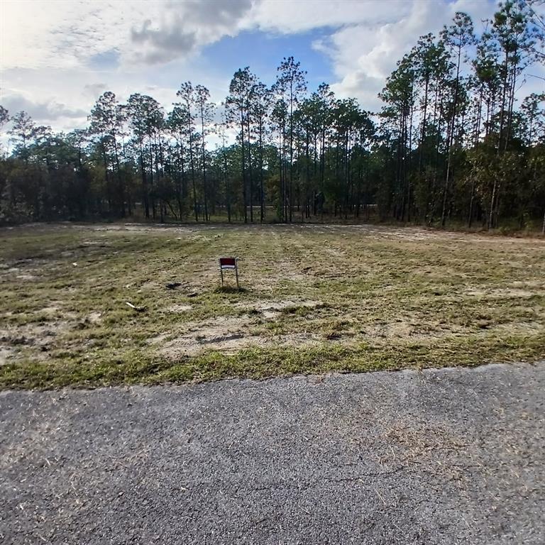 A vacant, grassy lot with a small sign sits in front of a line of trees — NARCISSUS, DUNNELLON, FL