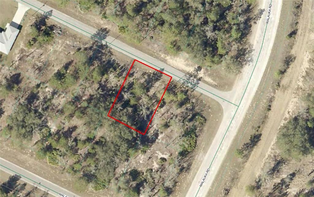 TBD MALAUKA DRIVE, OCKLAWAHA, FL — photo 2 of 3