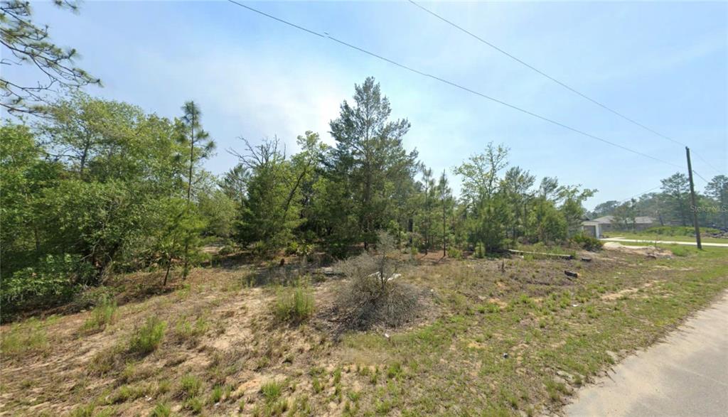 TBD MALAUKA DRIVE, OCKLAWAHA, FL — photo 3 of 3