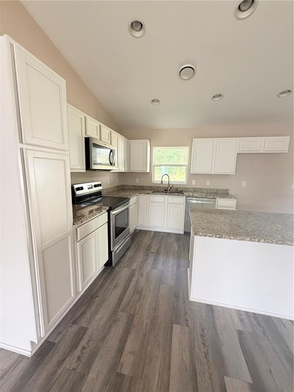 A kitchen features white cabinetry, stainless steel appliances, granite countertops, and wood-look flooring — 9850 N SANDREE DRIVE, CITRUS SPRINGS, FL