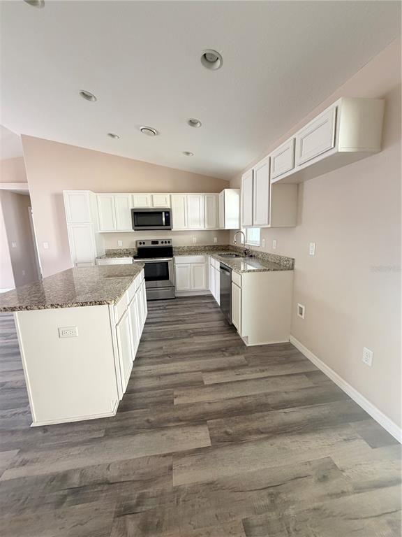 A kitchen features white cabinets, granite countertops, stainless steel appliances, and gray wood-look flooring — 9850 N SANDREE DRIVE, CITRUS SPRINGS, FL