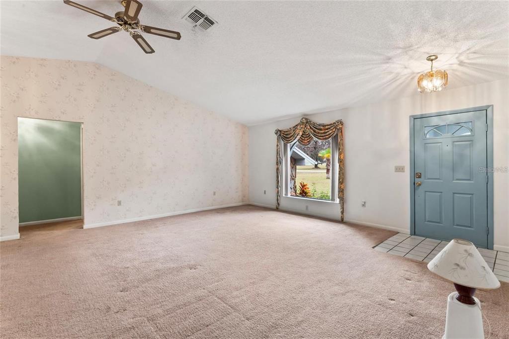 A living room features beige carpeting, a vaulted ceiling, a ceiling fan, and a blue door — 5250 LITTLE GREEN LANE, DADE CITY, FL