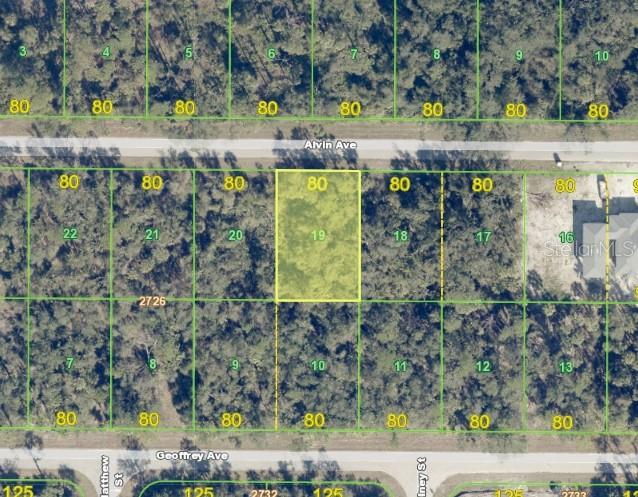 An aerial map shows a highlighted rectangular plot of land labeled 19 between two roads — 17175 ALVIN AVENUE, PORT CHARLOTTE, FL