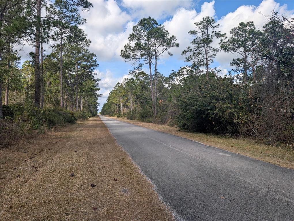 A paved road stretches through a wooded area under a blue sky with white clouds — 214 & 216 ALLAMANDA DRIVE, INDIAN LAKE ESTATES, FL