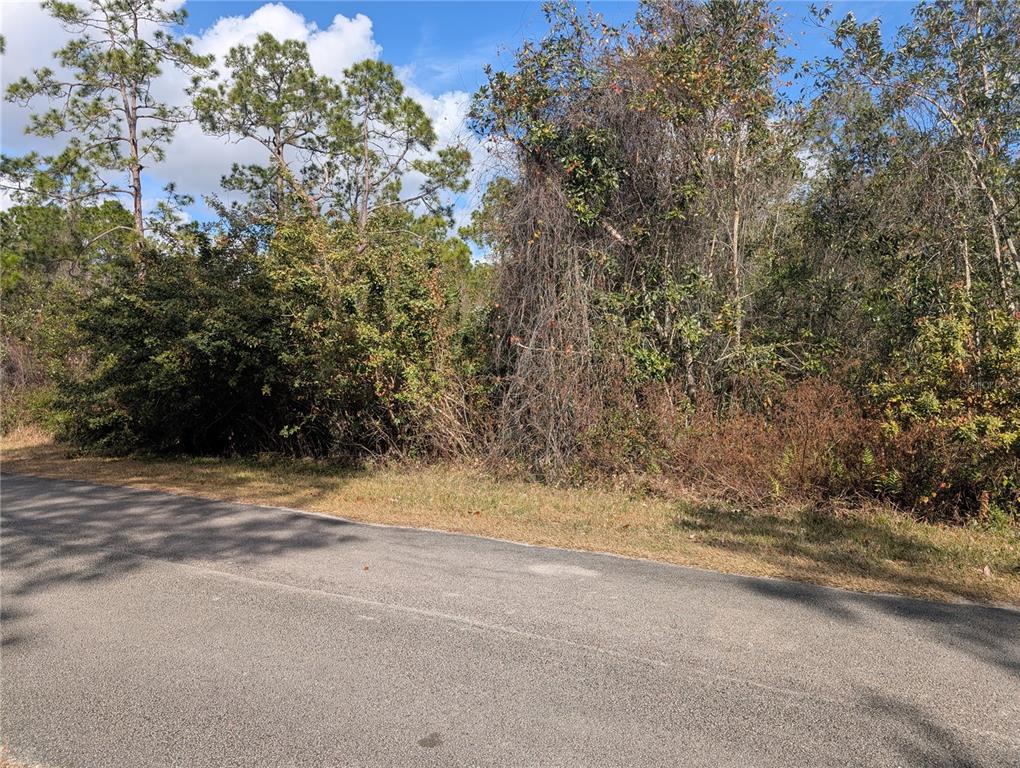 A paved road runs alongside a densely wooded, undeveloped lot under a blue sky — 214 & 216 ALLAMANDA DRIVE, INDIAN LAKE ESTATES, FL