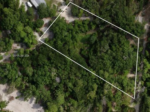 141 STRAWBERRY ST, Other City - In The State Of Florida FL 32181