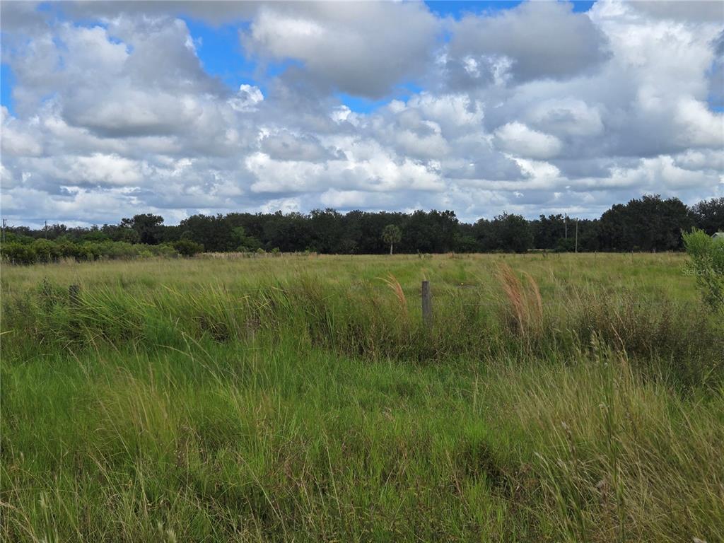SE PIGGY BACK ROAD, ARCADIA, FL — photo 2 of 5