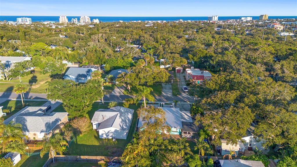 An aerial view shows several houses surrounded by dense trees near a coastal beach town — 650 S PINE STREET, NEW SMYRNA BEACH, FL