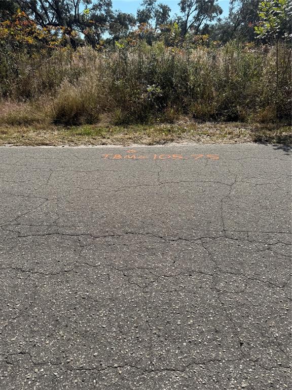 A paved road features orange survey markings indicating a temporary benchmark elevation of 105.75 — SE 115 PLACE ROAD, OCKLAWAHA, FL