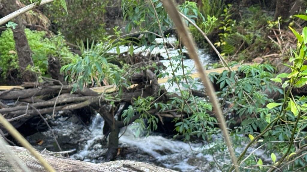 A small, rushing stream flows through a wooded area with fallen branches and lush greenery — 5011 249TH ST STREET E, MYAKKA CITY, FL