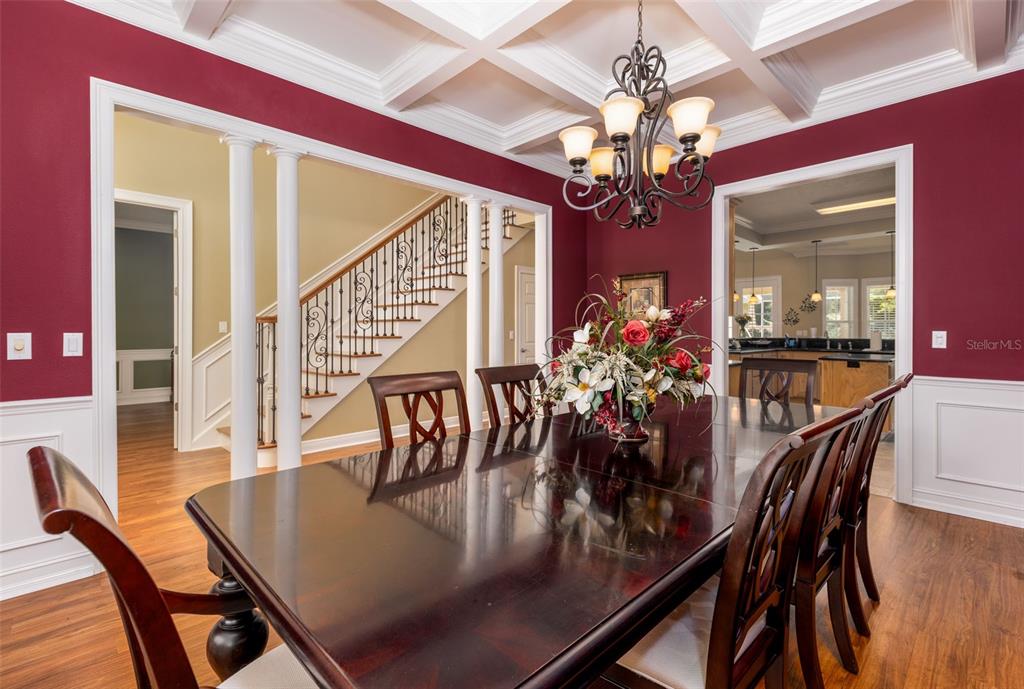 A dining room features a dark wood table, coffered ceiling, chandelier, and deep red walls — 19103 NW 72ND AVENUE, ALACHUA, FL