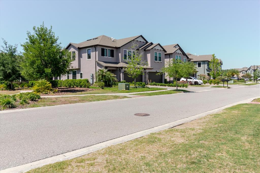 A street view of multi-story townhomes with attached garages and manicured landscaping under a clear sky — 4531 ALMADA LANE SE, WESLEY CHAPEL, FL