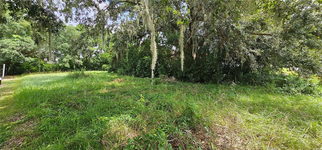PINE ISLAND DRIVE, LEESBURG, FL — photo 2 of 7