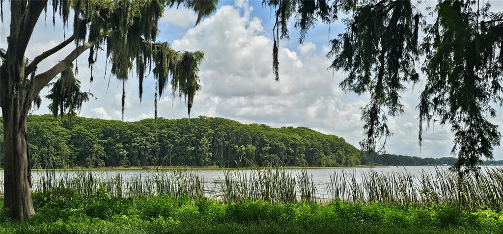 PINE ISLAND DRIVE, LEESBURG, FL — photo 3 of 7