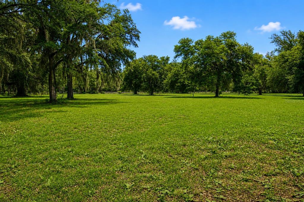 A large, grassy field is surrounded by mature trees under a bright blue sky — 128 NE 326TH AVENUE, CROSS CITY, FL