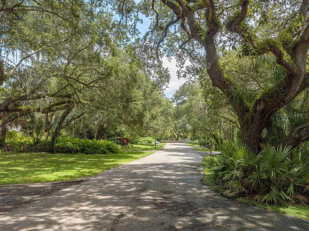 A paved driveway leads through a lush, tree-lined landscape with hanging Spanish moss — QUARTER HORSE ROAD, SARASOTA, FL