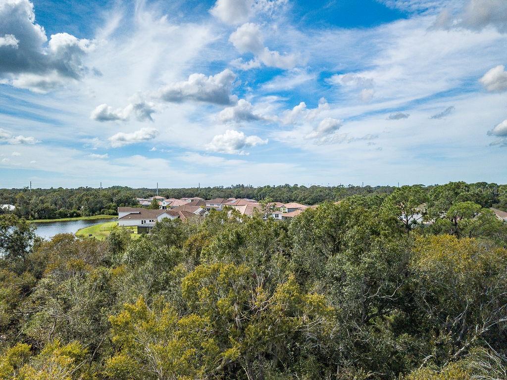 An aerial view shows a residential neighborhood nestled behind a dense forest and a small pond — QUARTER HORSE ROAD, SARASOTA, FL