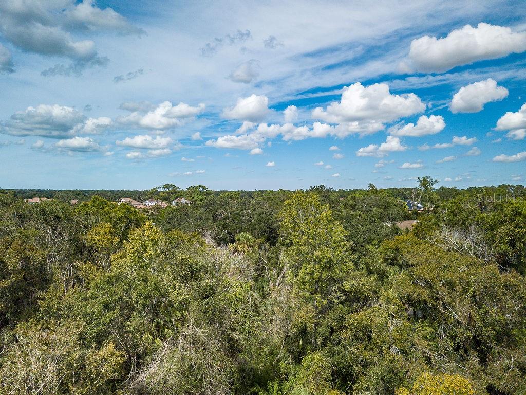 An aerial view shows a dense forest canopy under a bright blue sky with clouds — QUARTER HORSE ROAD, SARASOTA, FL