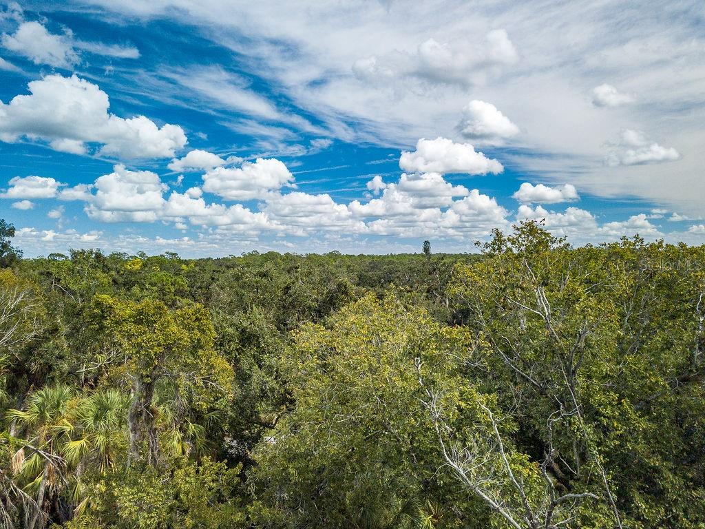 An aerial view shows a dense forest canopy under a bright blue sky with clouds — QUARTER HORSE ROAD, SARASOTA, FL