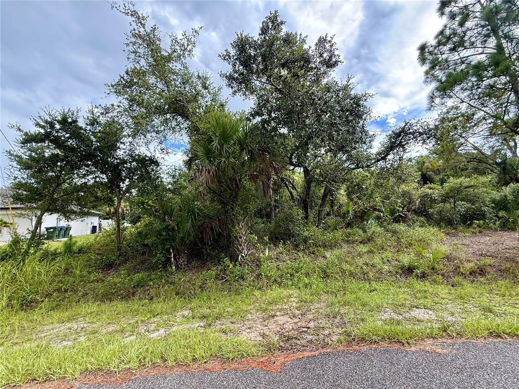 LANAI AVE, NORTH PORT, FL — photo 5 of 11