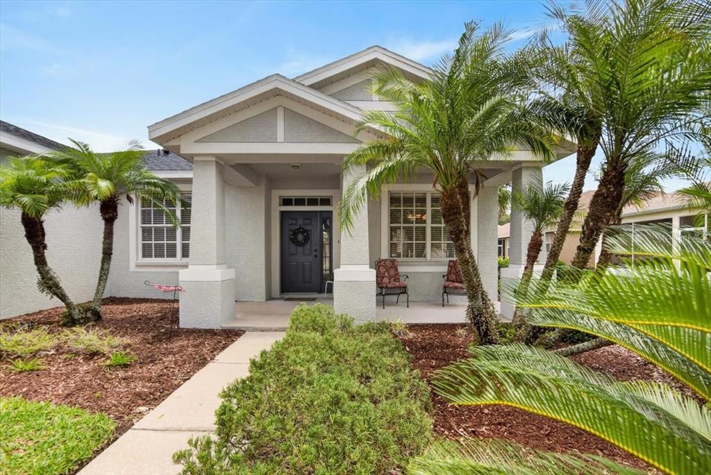 A single-story house with a covered front porch, palm trees, and a concrete walkway — 11023 HOLLY CONE DRIVE, RIVERVIEW, FL