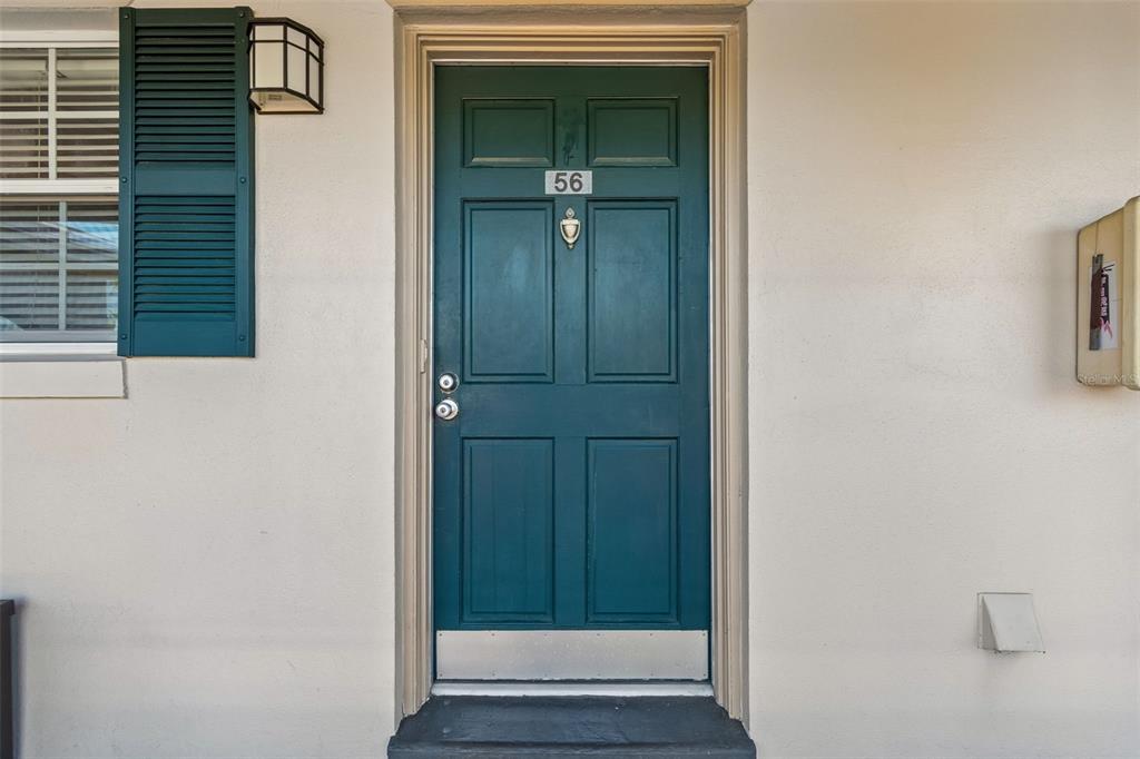 A dark teal front door with the number 56 is set in a light-colored wall — 10314 CARROLLWOOD COURT UNIT 56, TAMPA, FL