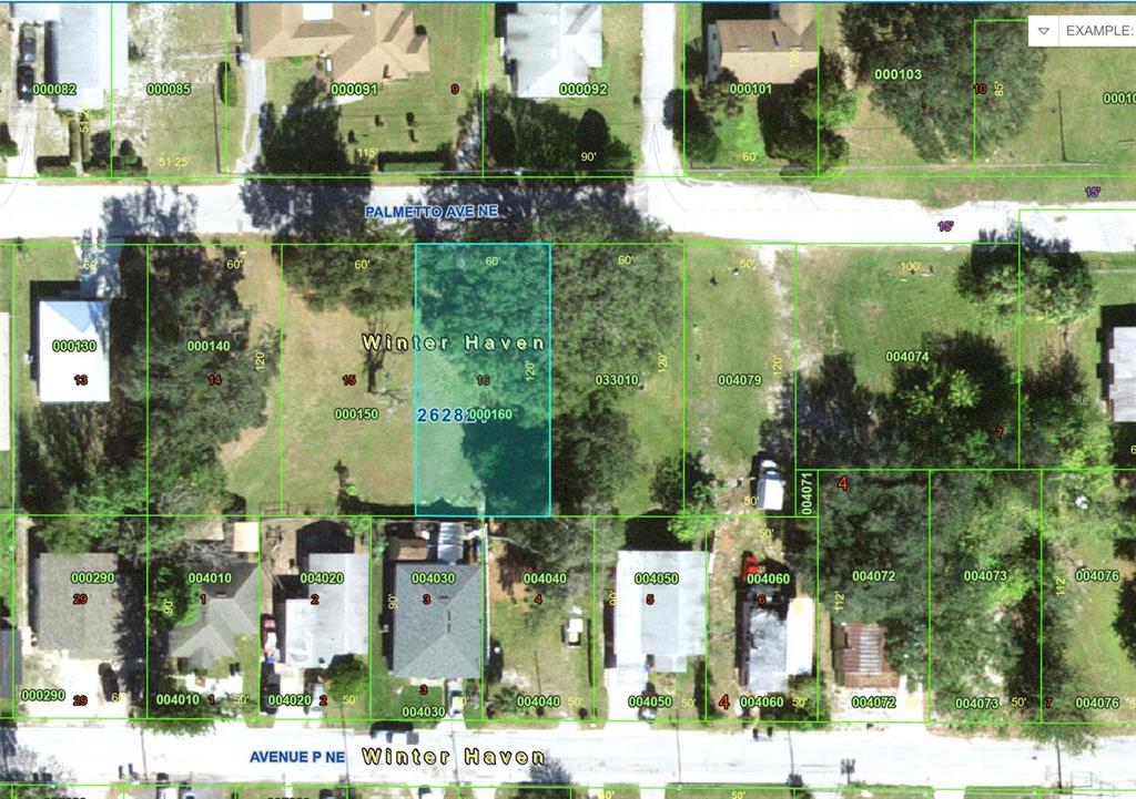 This is a satellite map view showing residential property lot lines and dimensions in Winter Haven — PALMETTO AVENUE NE, WINTER HAVEN, FL