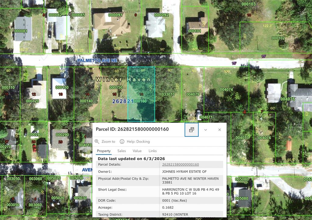 This is a digital map showing property parcel boundaries and identification numbers in Winter Haven — PALMETTO AVENUE NE, WINTER HAVEN, FL