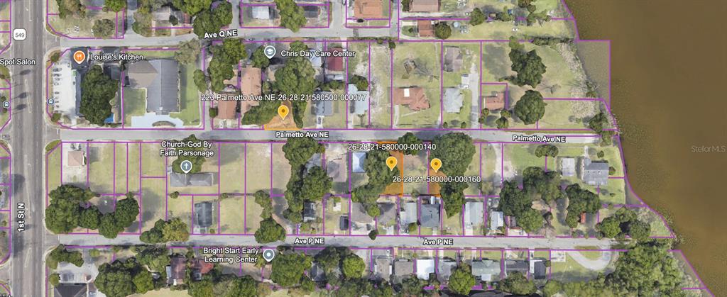 This is an aerial map showing property parcel boundaries in a residential neighborhood near water — PALMETTO AVENUE NE, WINTER HAVEN, FL
