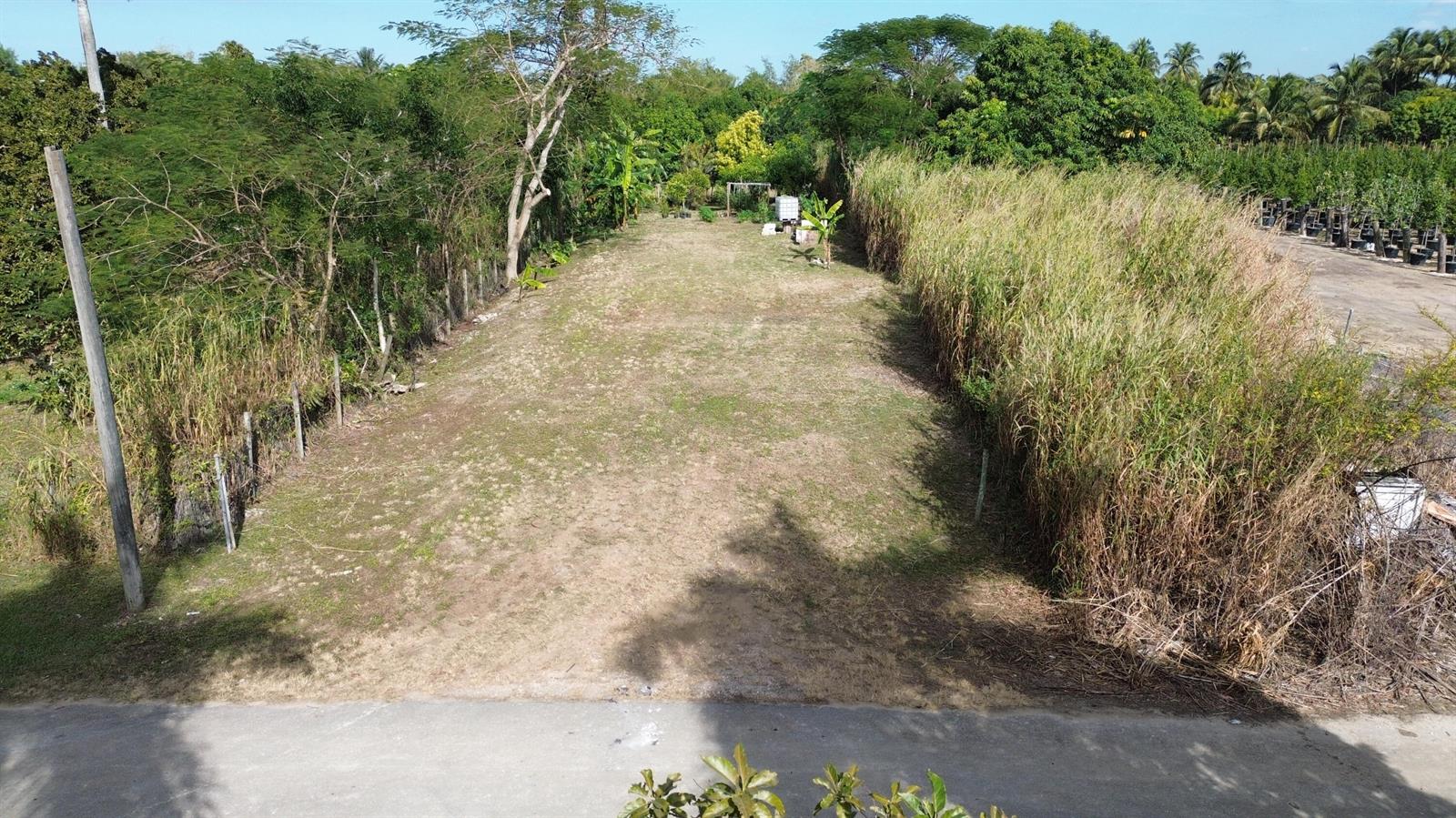 An elevated view of a rectangular, grassy vacant lot bordered by trees and tall grass — 0 SW 253rd Streets, FL 33031, FL