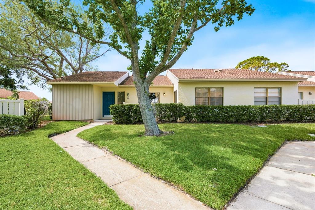 A single-story house with a blue front door, a large tree, and a manicured lawn — 20 EVELYN COURT, OLDSMAR, FL