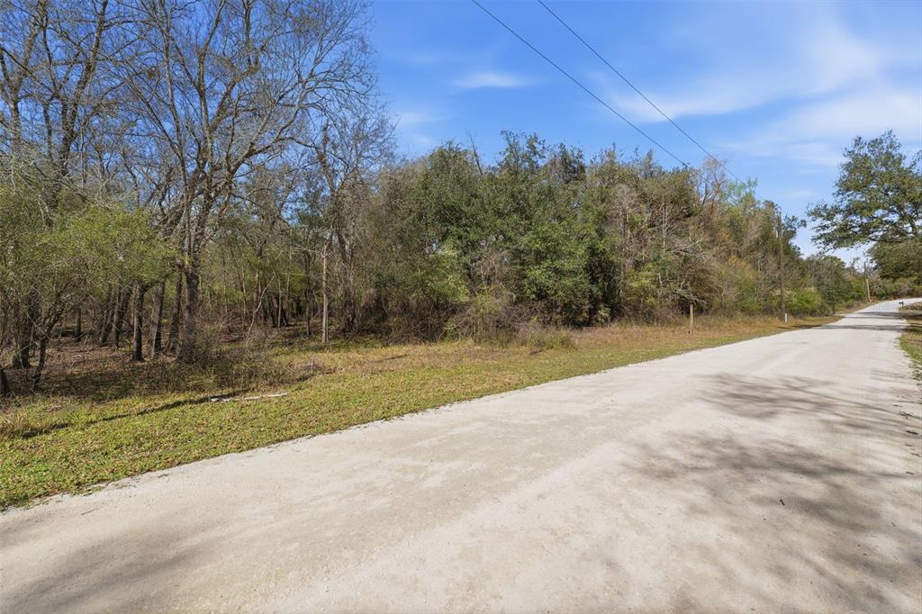 A dirt road runs alongside a wooded lot under a clear blue sky — 0 SMALLMAN STREET, WEBSTER, FL