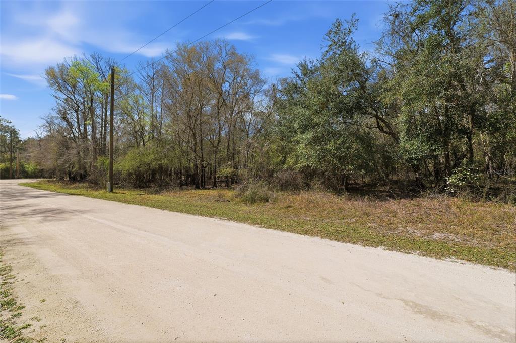 A dirt road runs alongside a wooded lot with tall trees under a blue sky — 0 SMALLMAN STREET, WEBSTER, FL