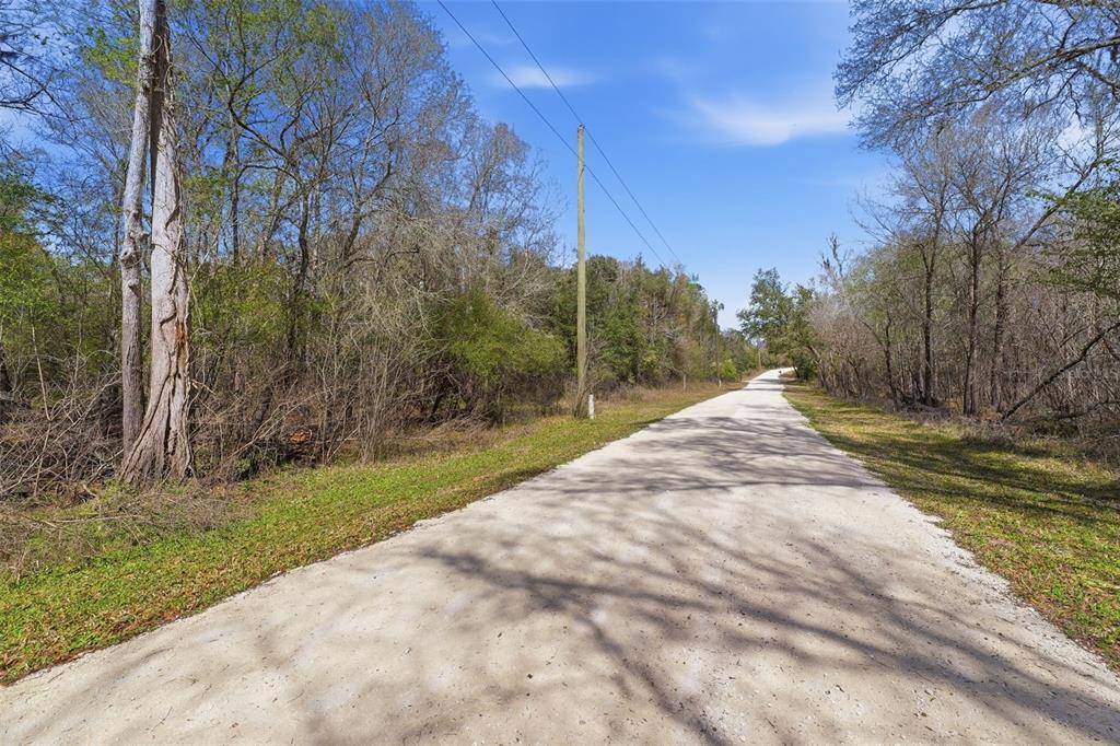 A dirt road stretches through a wooded area under a clear blue sky — 0 SMALLMAN STREET, WEBSTER, FL