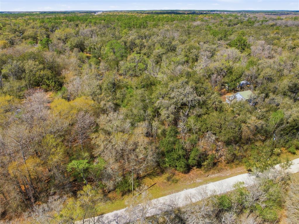 An aerial view shows a wooded lot with a small house near a dirt road — 0 SMALLMAN STREET, WEBSTER, FL